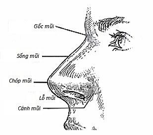 Đặc điểm nhân tướng của những người chỉ có thể giàu có, vinh hiển sau tuổi 40 - Ảnh 3.