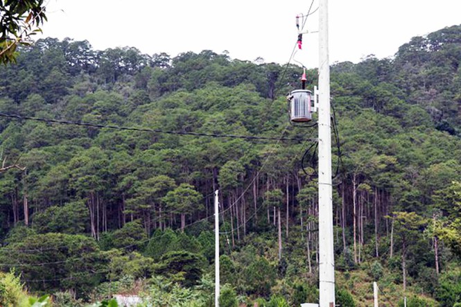 Xây chui cả ngôi làng trên đất lâm nghiệp