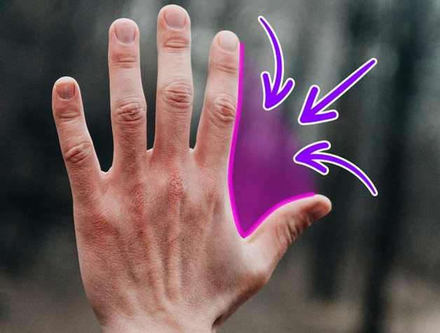 Khoảng trống giữa ngón cái và ngón trỏ của bàn tay được gọi là Purlicue