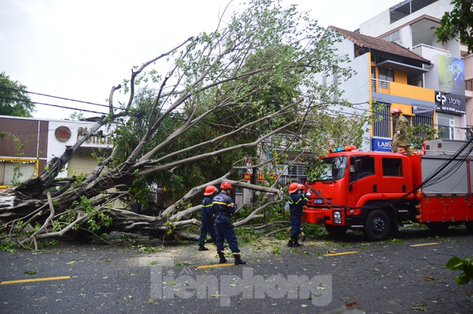 Đà Nẵng ngổn ngang sau bão Molave