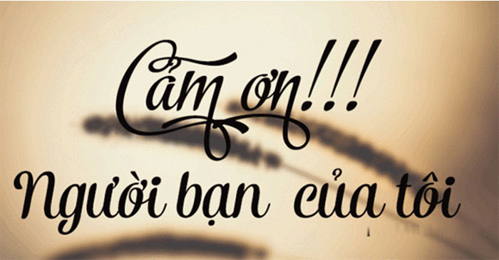 Lời cảm ơn bạn bè,
