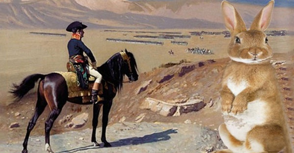 Hoàng đế Napoléon Bonaparte bị đàn thỏ giận dữ lao phía về mình khiến ông phải bỏ chạy