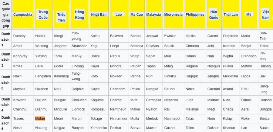 cach-dat-ten-bao-va-su-dung-hang-nam-nhu-the-nao-4