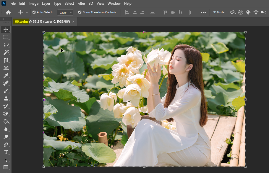 Mở ảnh Webp bằng Photoshop