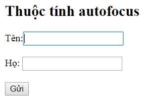 Tập trung vào trường dữ liệu đang được nhập