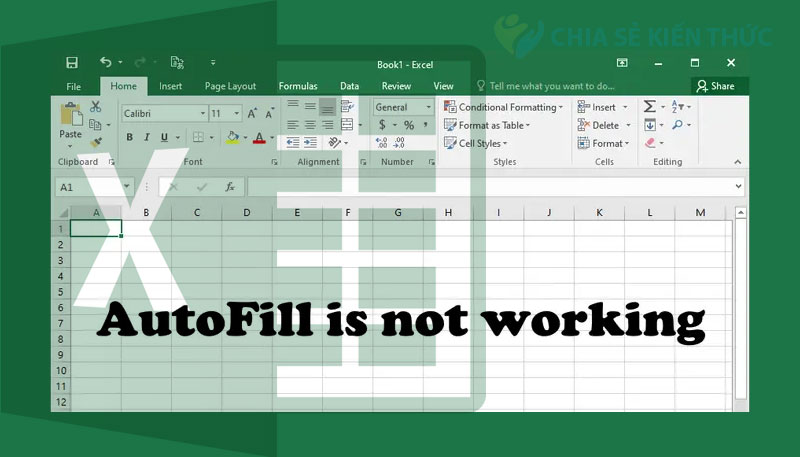 Hướng dẫn sửa lỗi Autofill không hoạt động trong Excel