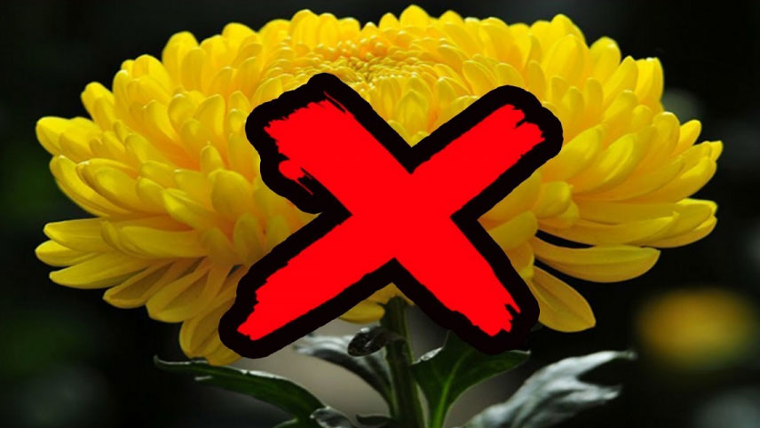 4 loại hoa để trên bàn thờ là mất lộc, Rằm tháng 7 gia chủ nhớ mà tránh
