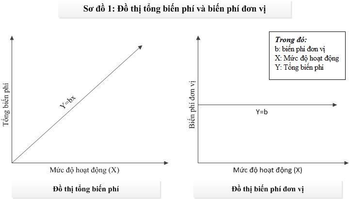 Đồ thị tổng biến phí và biến phí đơn vị