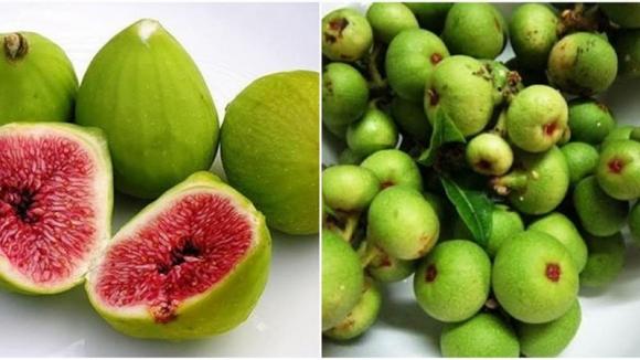 Nhiều người thắc mắc trong quả sung hay có côn trùng, vậy chúng chui vào bằng cách nào? - 1