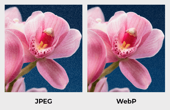 WebP