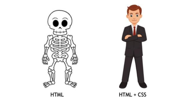 Tìm hiểu về HTML và CSS