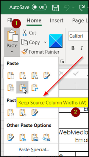 Tùy chọn Keep Source Column Widths